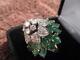Stunning Vtg Diamond Emerald Cluster Ring 18k Gold 17.80 Carats Emeralds Unisex